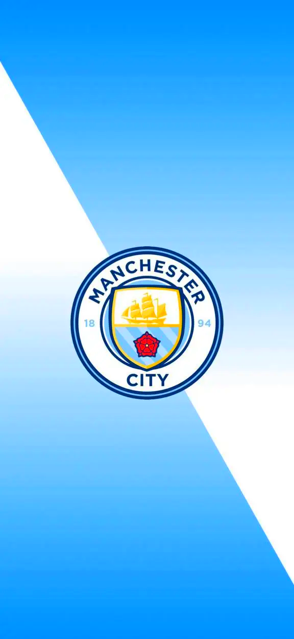 盘与标记系 盘与标记系