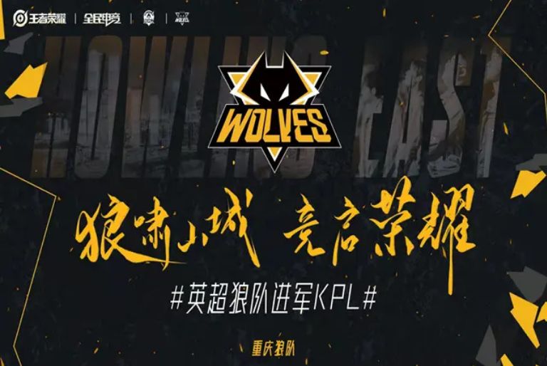 乐向的 乐向的